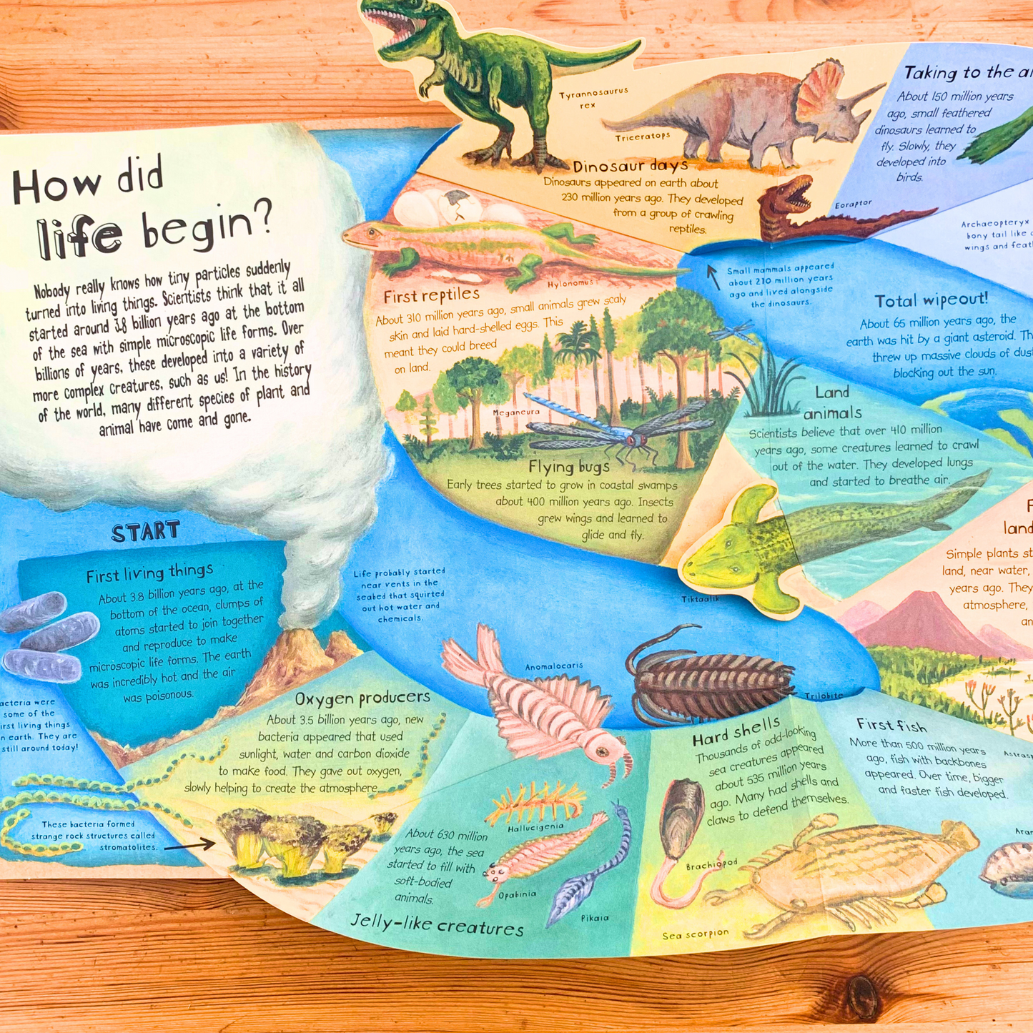 How the World Began and What Happened After That! - Book