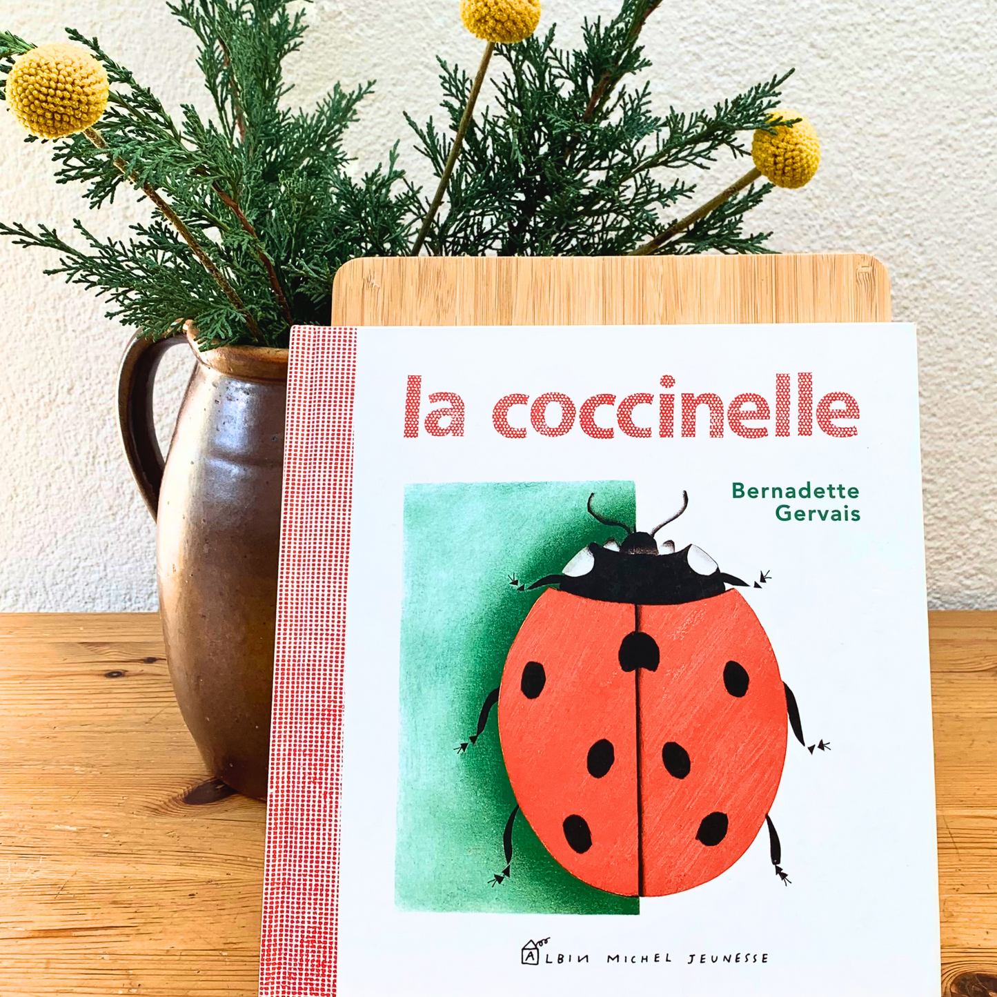 La Coccinelle - Book
