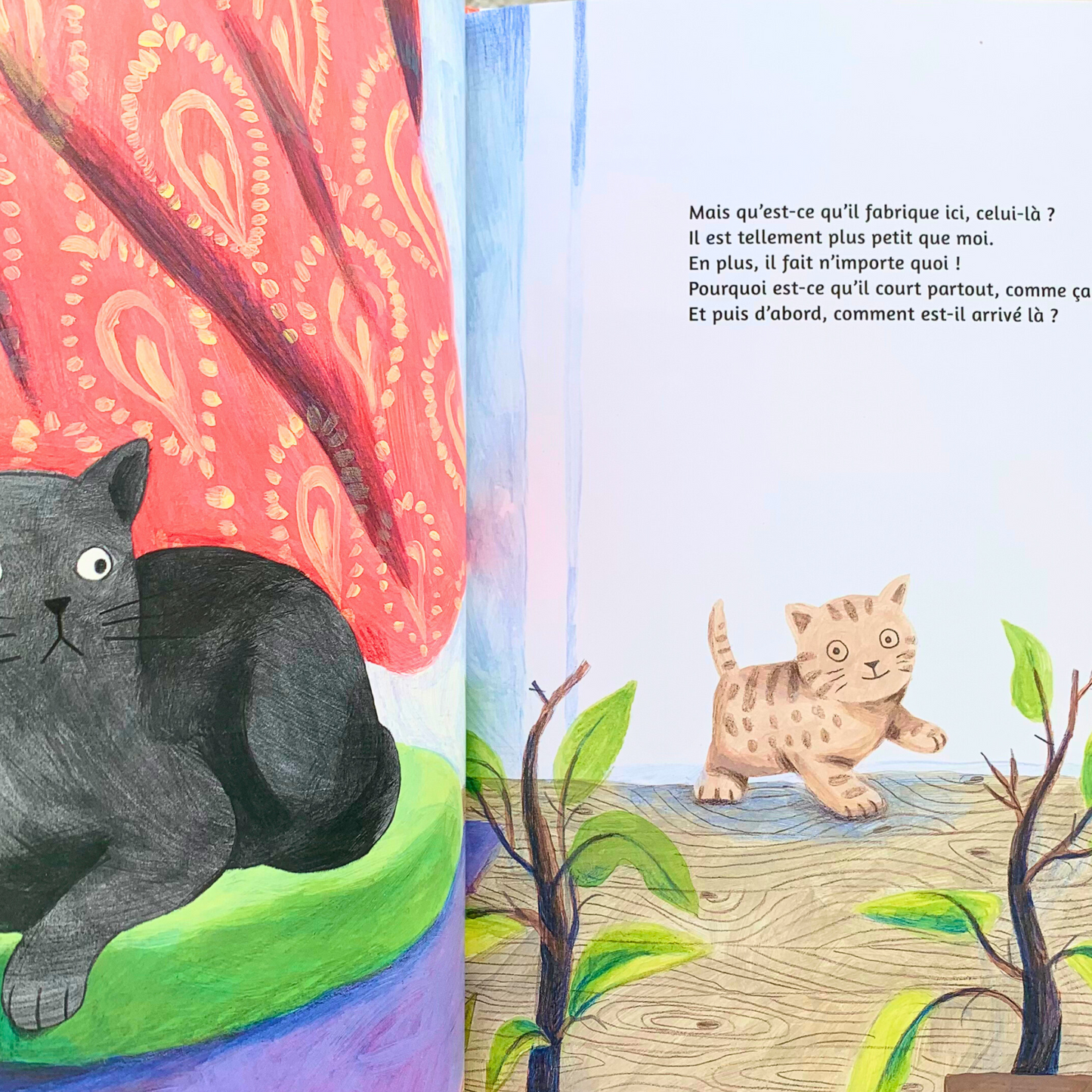 Grand Chat, Petit Chat - Book