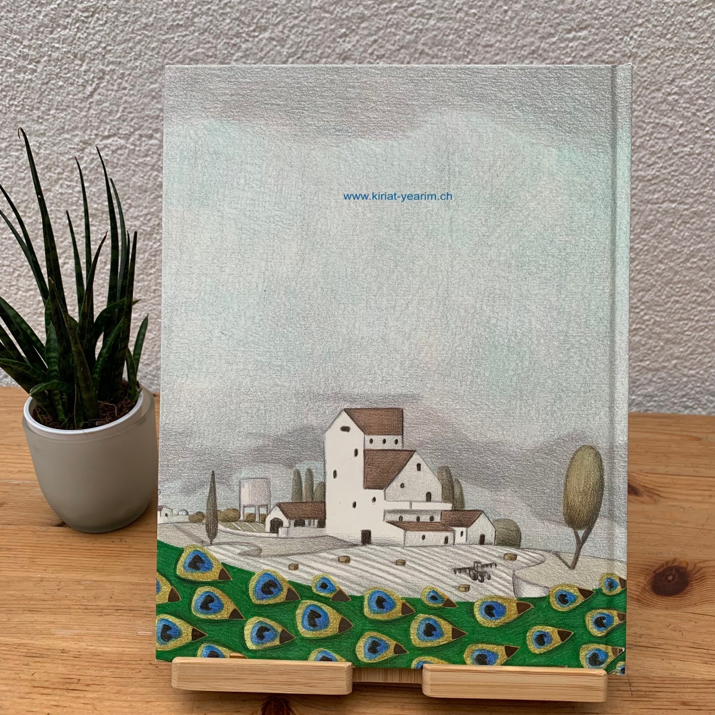 Un Roman a Plumes - Book