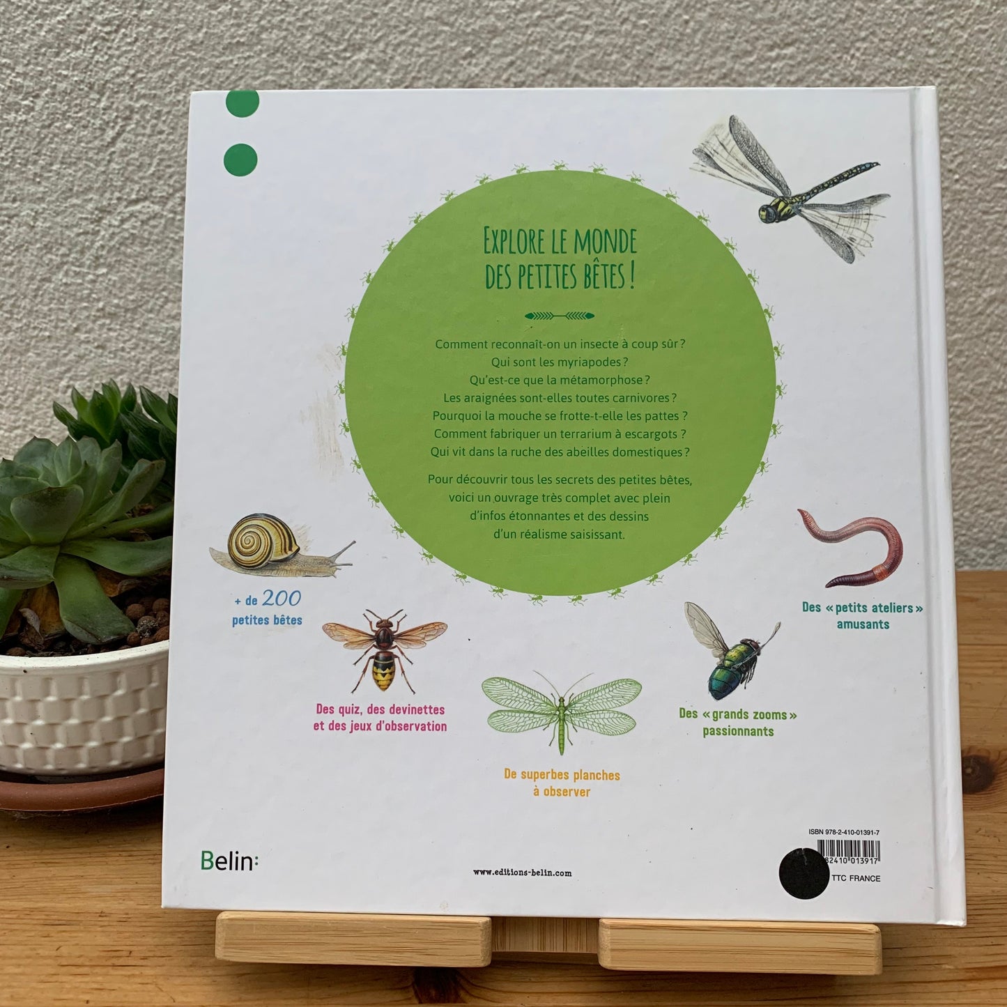 Le Livre aux Petit Betes - Book