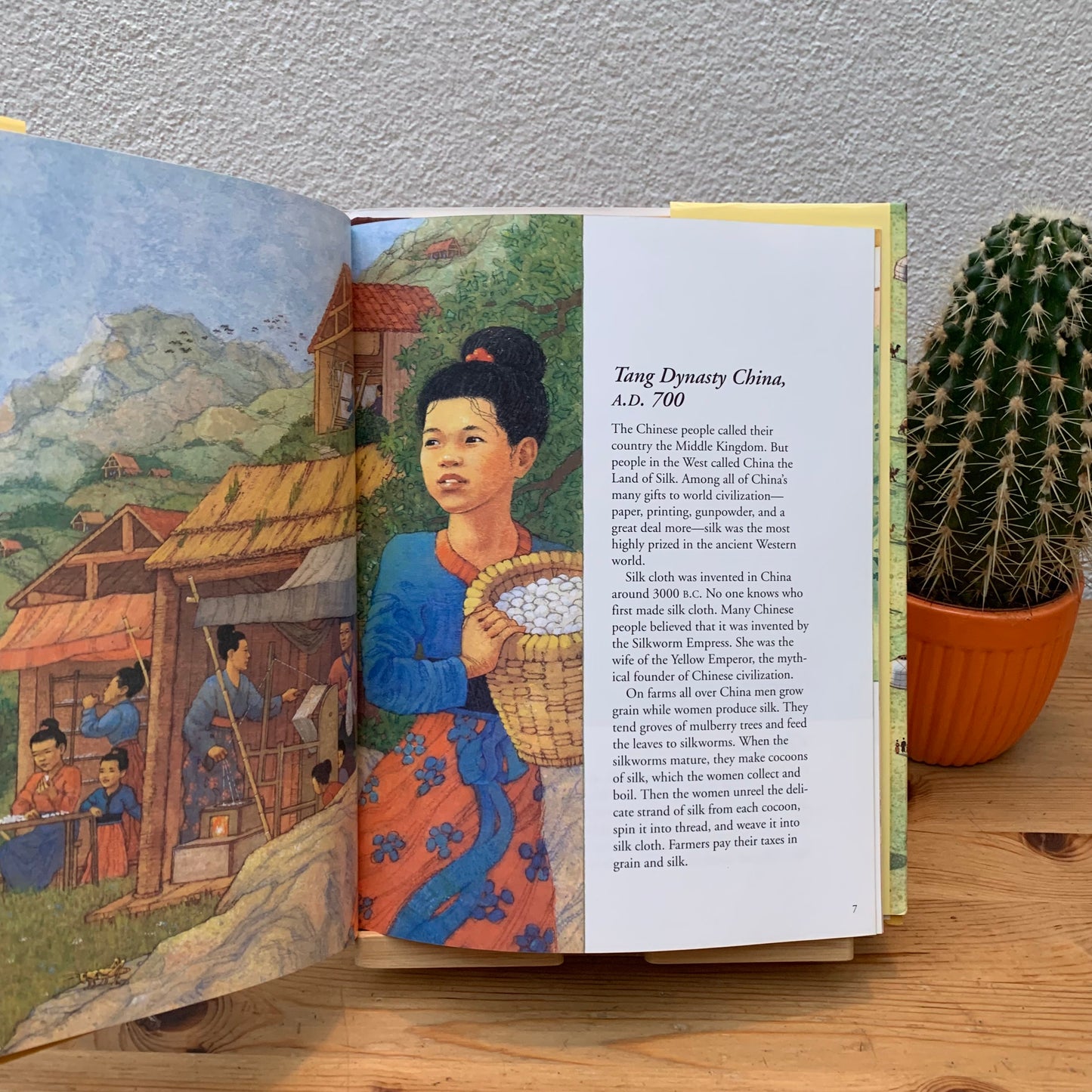 The Silk Route - Book