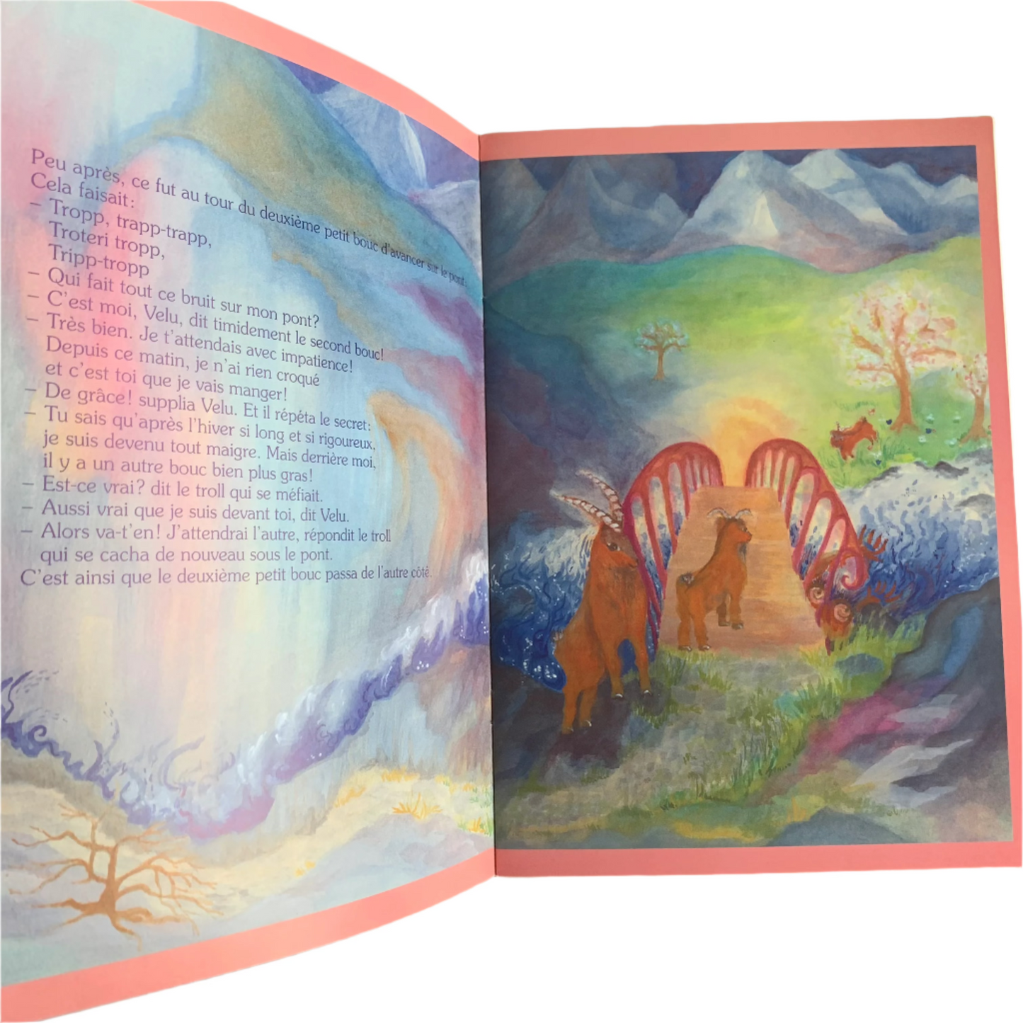 Les 3 petits Bougs - Livre