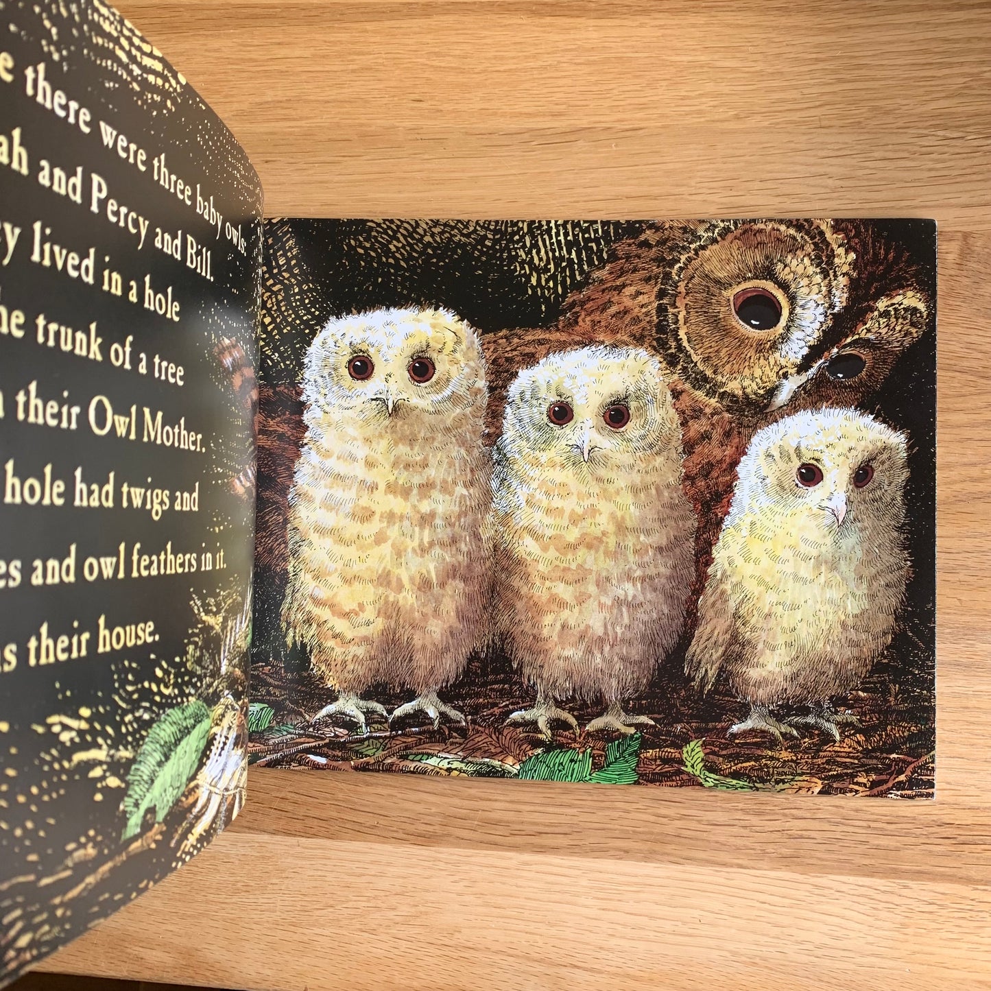 Owl Babies - Book