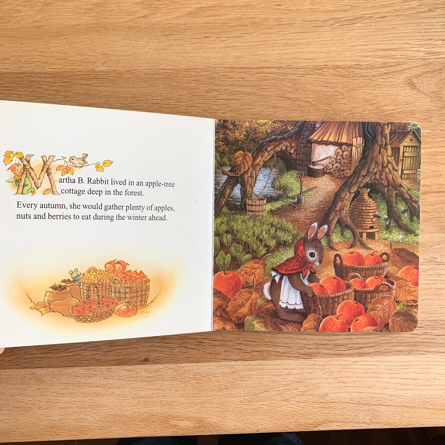 The Fairies' Cook - Book