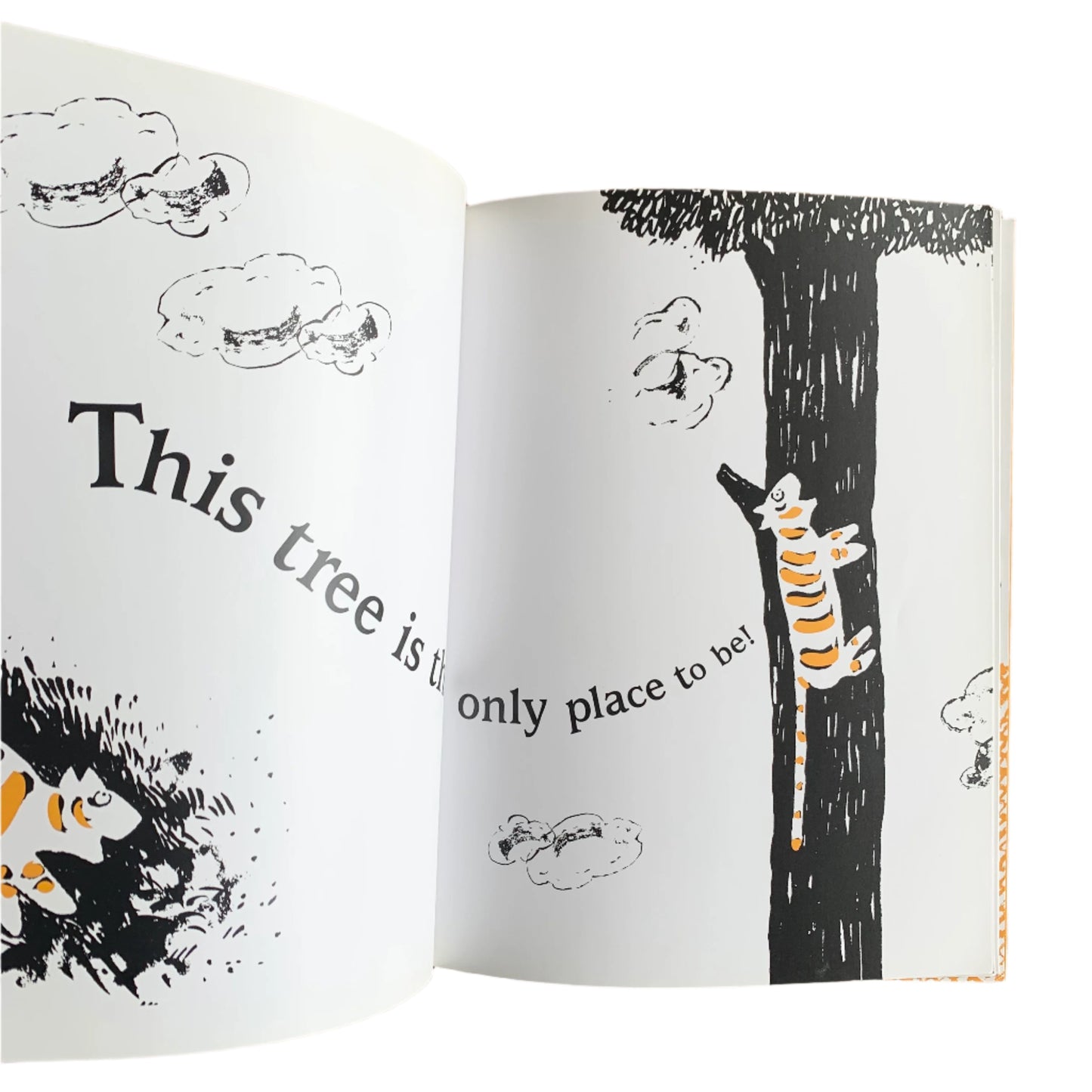 Tigre sur un arbre - Livre