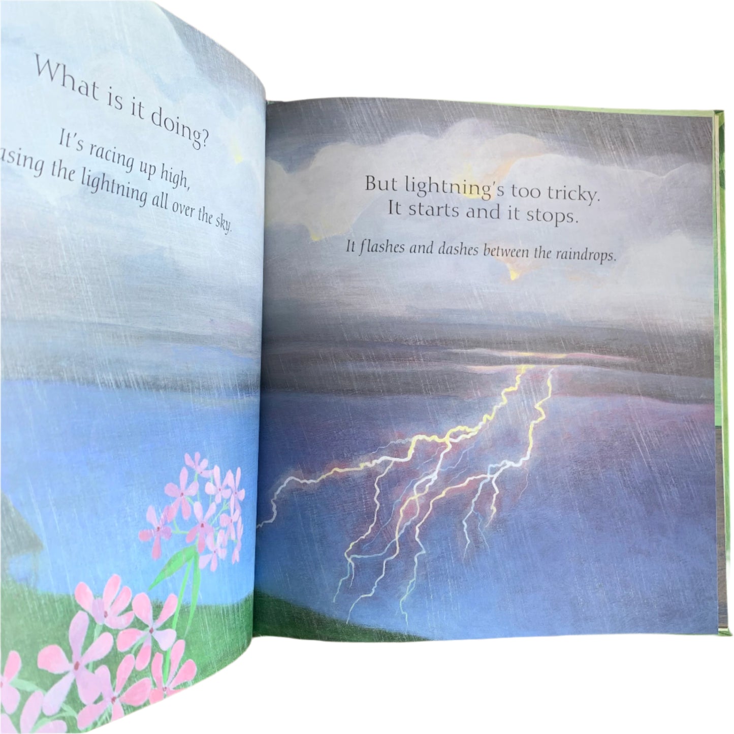 Waiting Out the Storm - Book