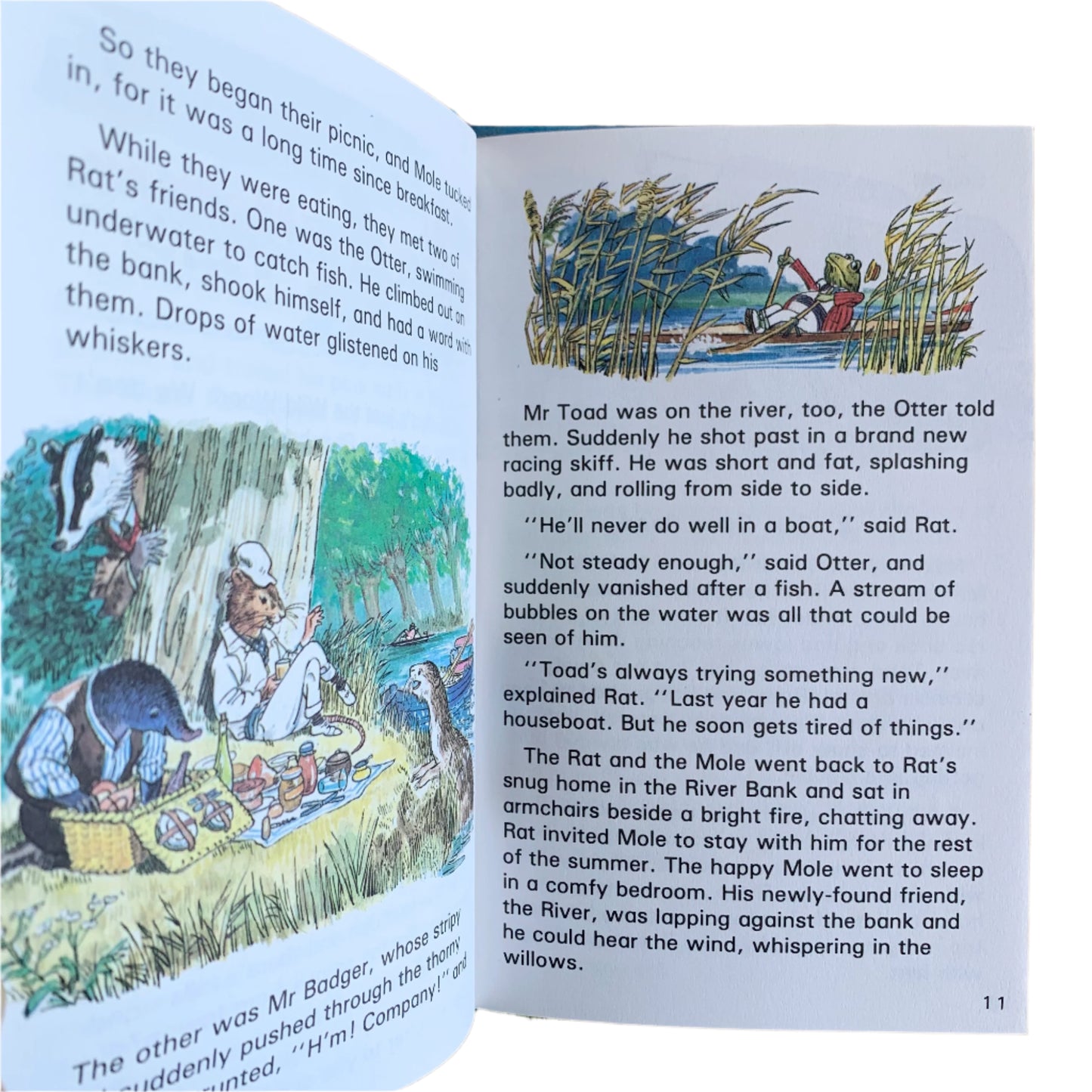 The Wind in the Willows - Book