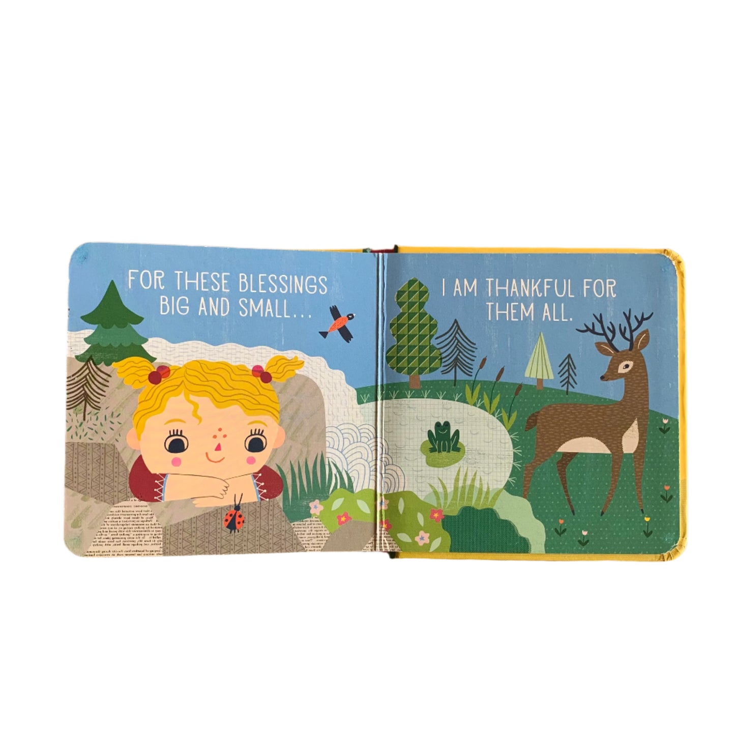 Tiny Blessings for Giving Thanks- Book