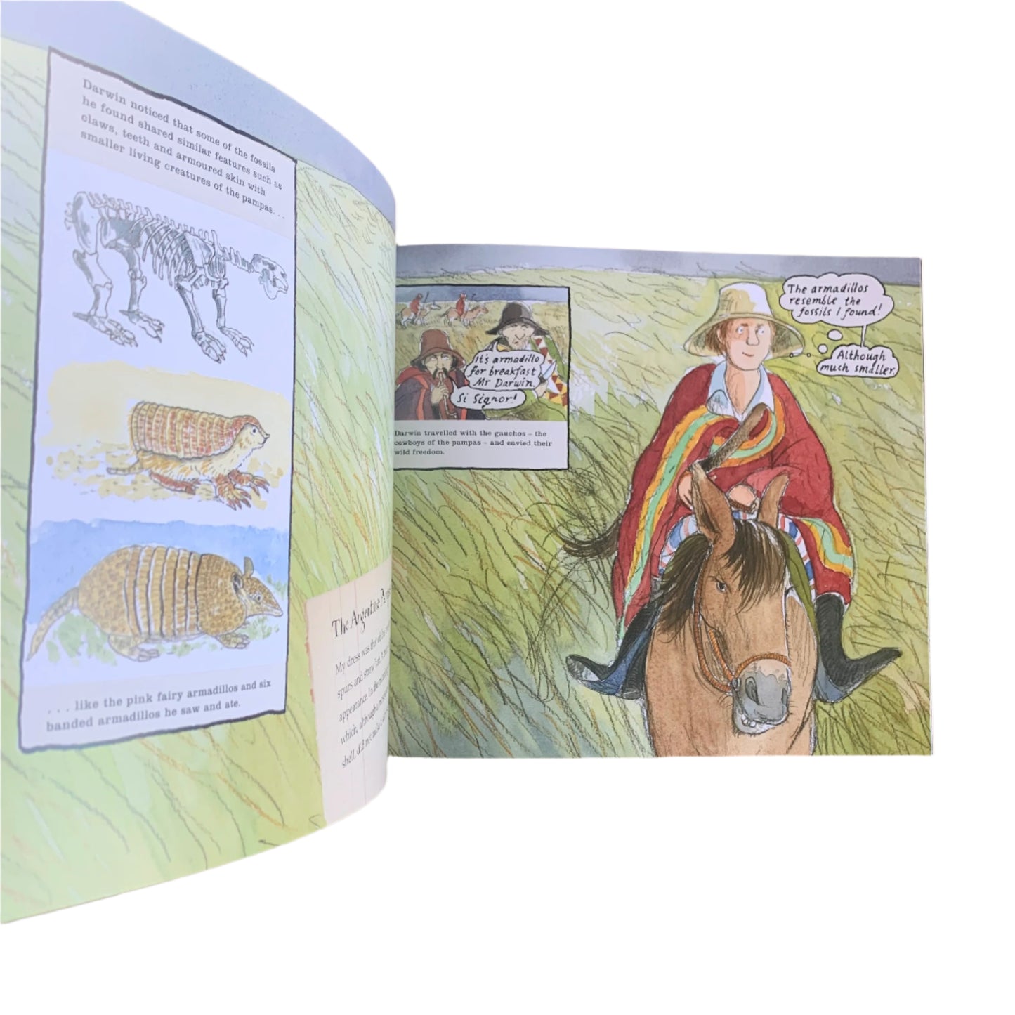 What Mr Darwin Saw - Book
