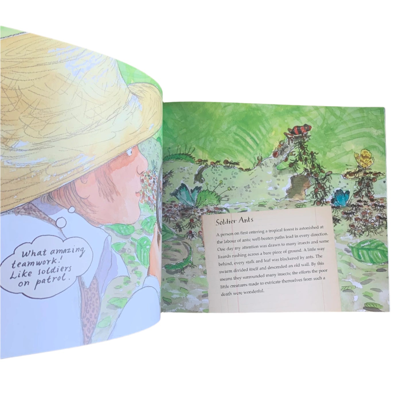 What Mr Darwin Saw - Book