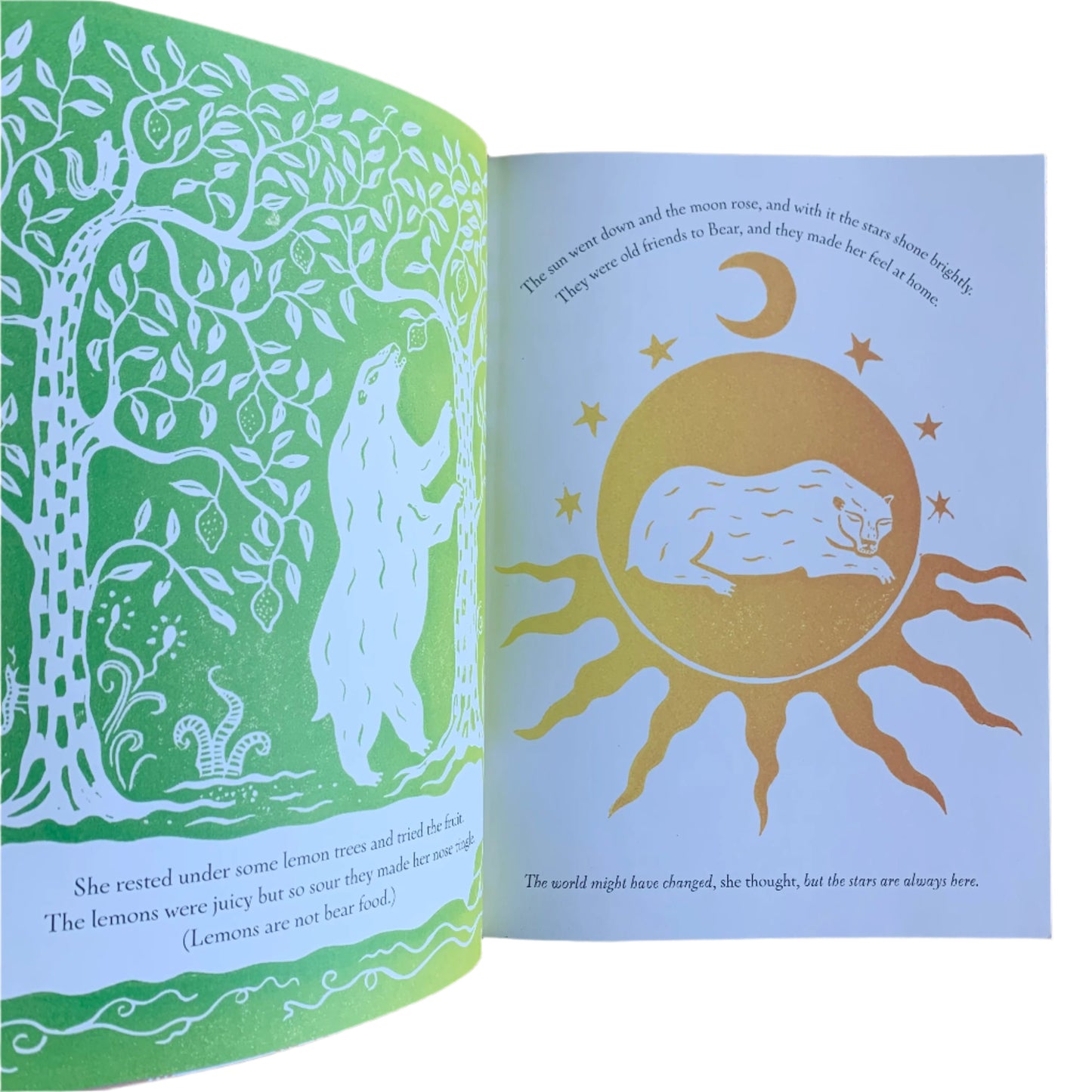 The Bear in the Stars - Book