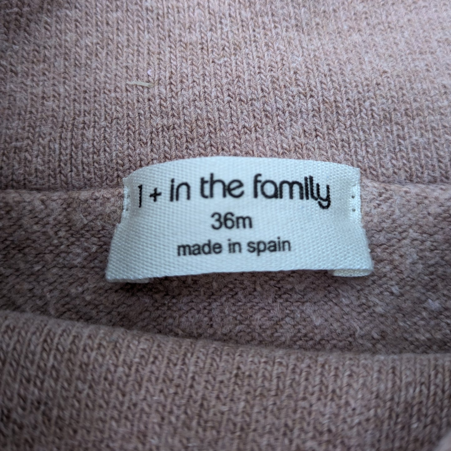 1 + in the family shirt - 3 yrs