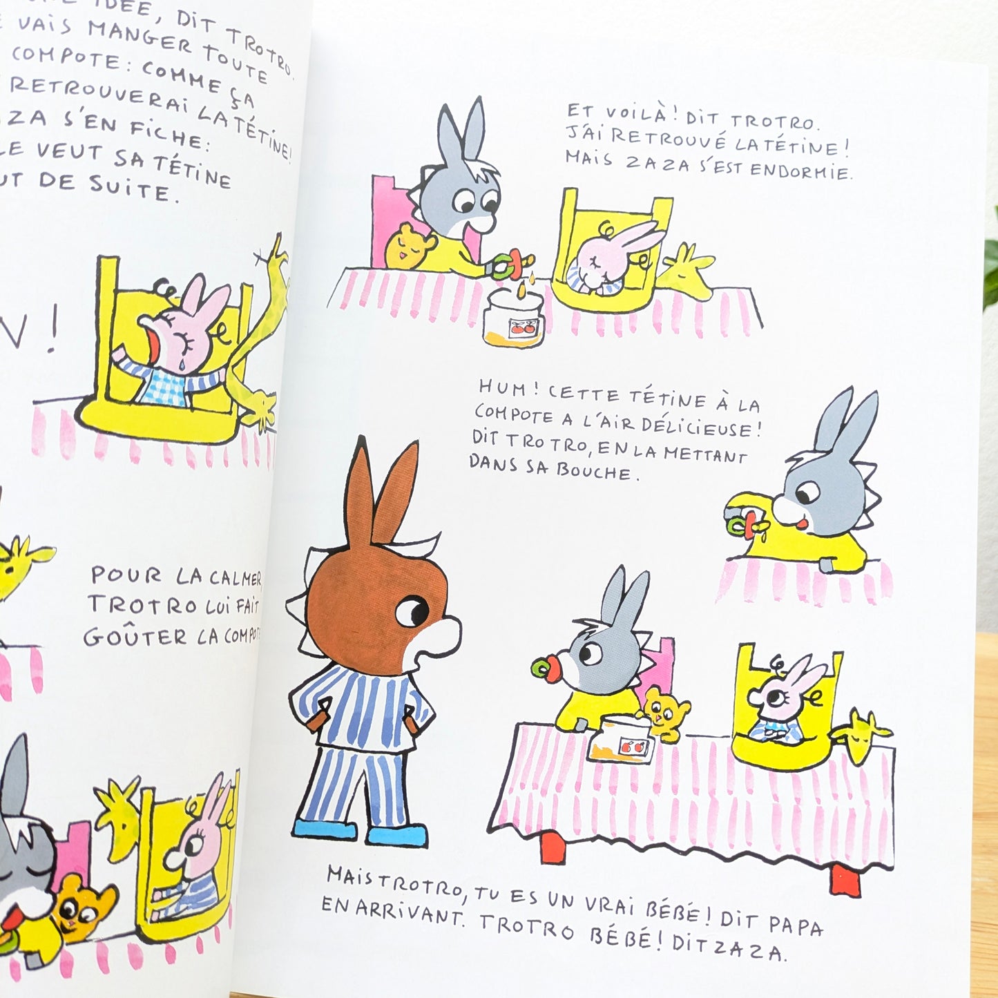 Trotro & Zaza - C'est Super d'etre un Grand Frère! - Grand format Book