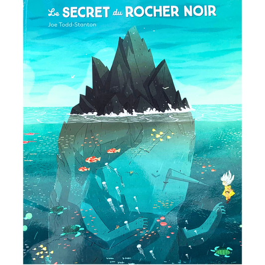 Le Secret du Rocher Noir - Buch