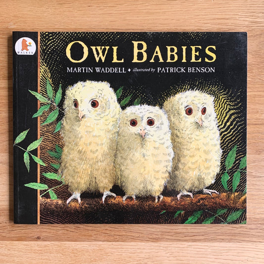 Bébés hiboux - Livre