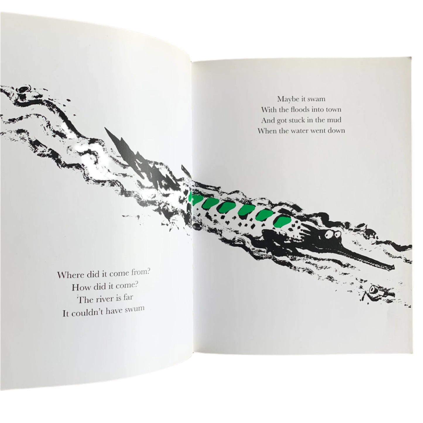 Attrape ce crocodile ! - Livre
