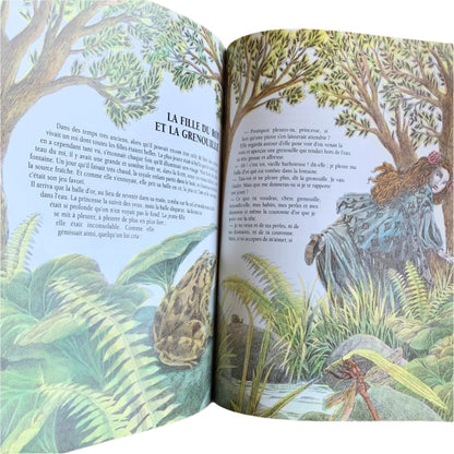 Contes de Grimm- Book