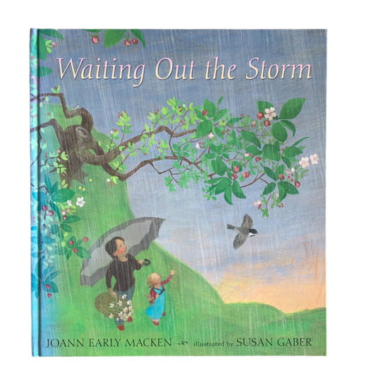 Waiting Out the Storm - Book