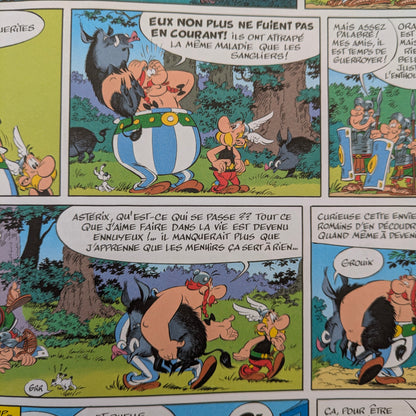 Asterix - L'Iris Blanc