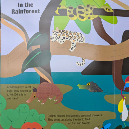 Baby Animals - Magnetology
