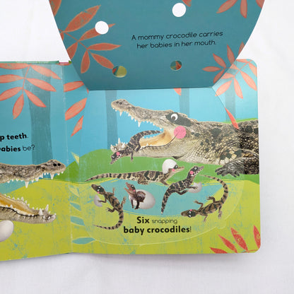 Flip Flap Find Counting
