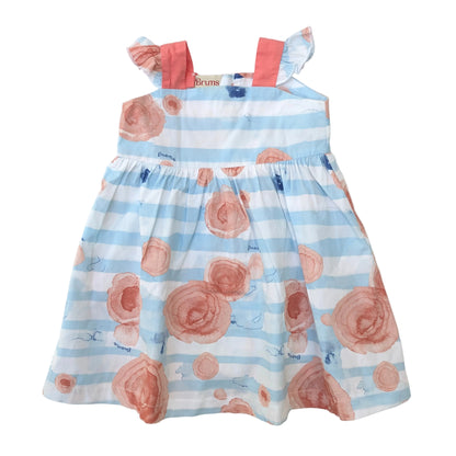 Brums dress - 9 mo